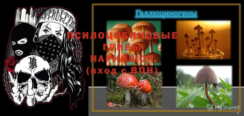 MEGA ссылки  Кремёнки  Псилоцибиновые грибы Cubensis  наркошоп 